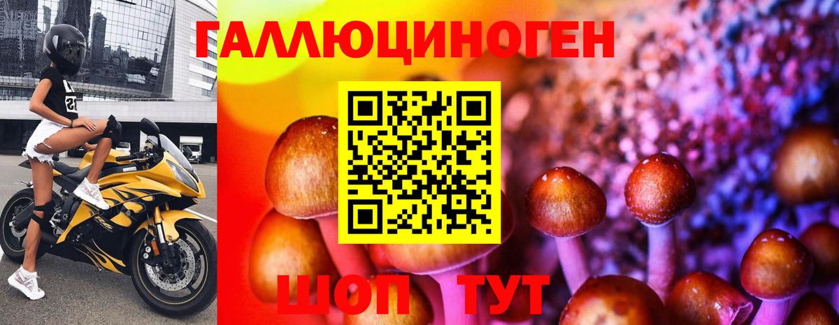 наркошоп  Псилоцибиновые грибы GOLDEN TEACHER  Вход с VPN  Вышний Волочёк 