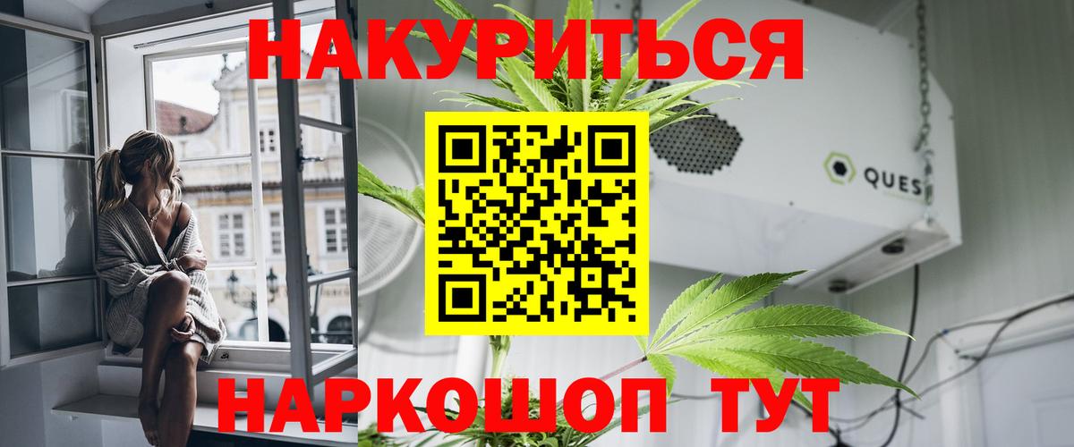 Конопля планчик  Бошки марихуана план  Вышний Волочёк  Вход с VPN  Шишки марихуана тримм 